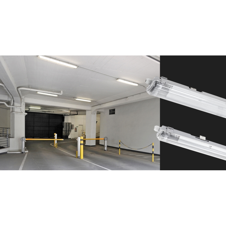Hochleistungs-Leuchtstofflampe LIMEA T8 1xG13/10W/230V IP65 60cm