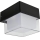 HÖFFTECH - LED-Außenwandleuchte LED/4W/230V IP65