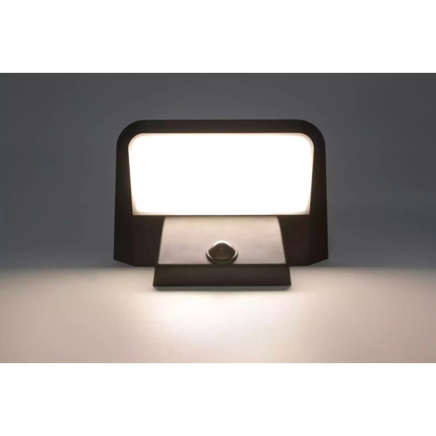 HÖFFTECH - LED Solar-Wandleuchte mit Bewegungs- und Dämmerungssensor LED/5,5V 200 mAh IP44