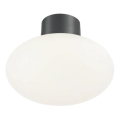 Ideal Lux - Außen-Deckenleuchte CLIO 1xE27/42W/230V IP44 Anthrazit