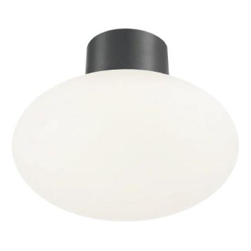 Ideal Lux - Außen-Deckenleuchte CLIO 1xE27/42W/230V IP44 Anthrazit