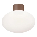 Ideal Lux - Außen-Deckenleuchte CLIO 1xE27/42W/230V IP44 Braun