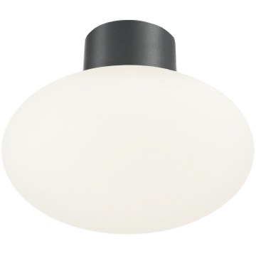 Ideal Lux - Außen-Deckenleuchte CLIO 1xE27/42W/230V Ø 28 cm IP44 anthrazit