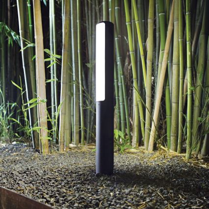 Ideal Lux - LED-Außenleuchte ETERE LED/9,5W/230V 4000K 60 cm CRI 90 IP44 anthrazit