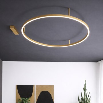 Ideal Lux - LED-Deckenleuchte ORACLE SLIM LED/29W/230V 3000K CRI 90 Ø 50 cm goldfarben
