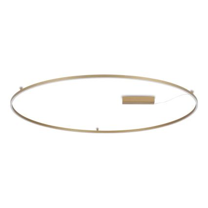 Ideal Lux - LED-Deckenleuchte ORACLE SLIM LED/81W/230V 3000K CRI 90 Ø 150 cm goldfarben