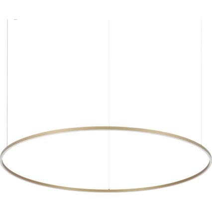 Ideal Lux - LED-Hängeleuchte an Kabel ORACLE SLIM LED/81W/230V 3000K CRI 90 Ø 150 cm goldfarben