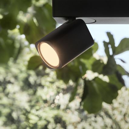Ideal Lux - LED-Spot RUDY 3xGU10/7W/230V CRI 90 schwarz