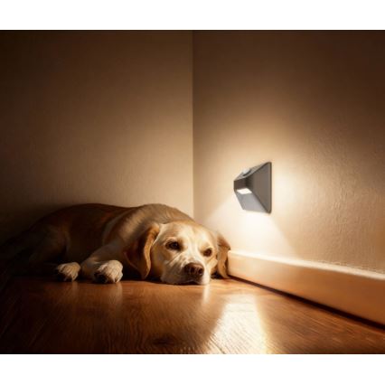 Wiederaufladbare LED-Treppenleuchte mit Bewegungs- und Dämmerungssensor STEP LIGHT LED/0,3W/3,7V 2200 mAh IP53 grau