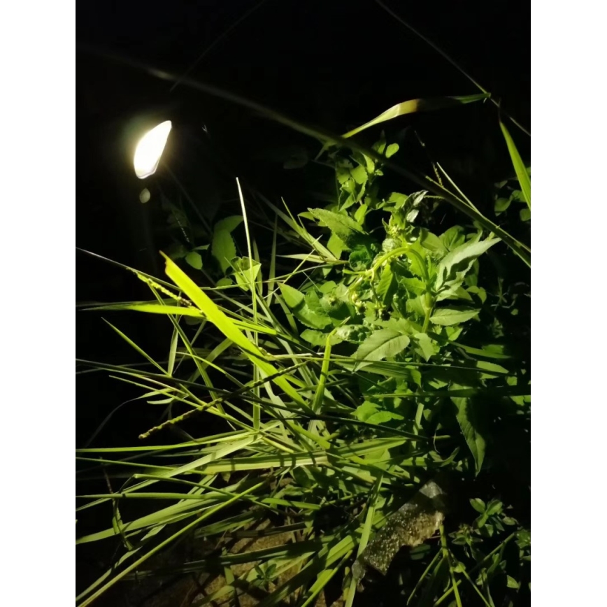 LED-Solarleuchte mit Sensor LED/1W/3,7V 6000K IP65 1500 mAh