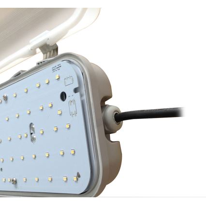 LED technische Leuchte LED/40W/100-277V IP65