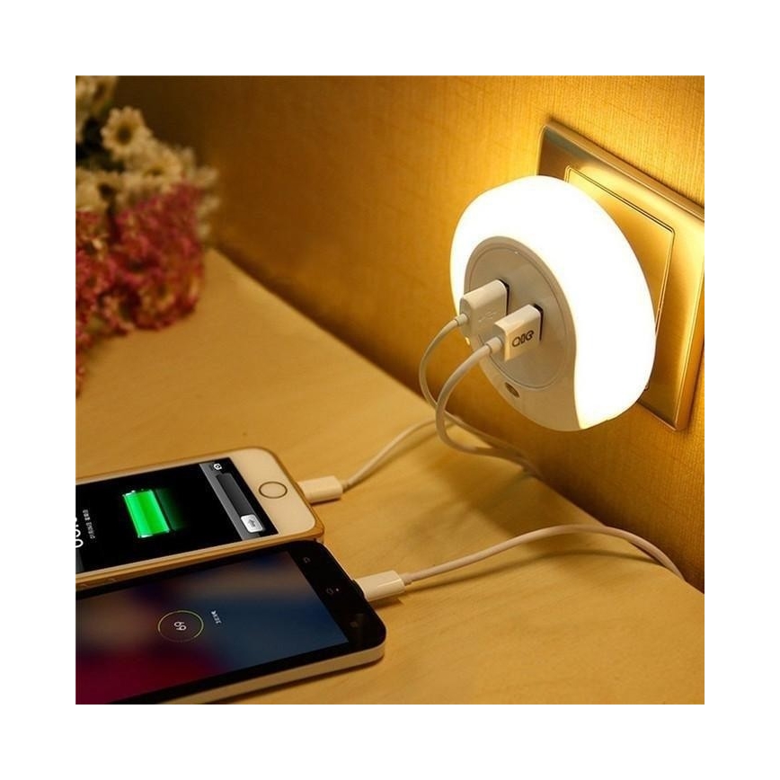 USB-Ladegerät mit LED-Hintergrundbeleuchtung LED/0,4W/230V