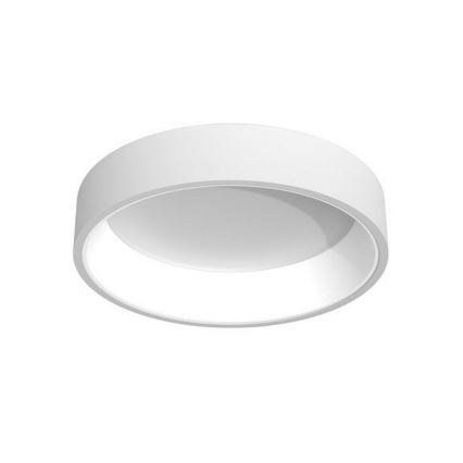 Immax NEO AGUJERO - LED Fernbedienbare Deckenleuchte LED/39W/230V