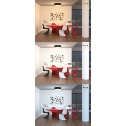 Immax Neo 07023L-15BD - Set 2x Dimmbare LED-Deckenleuchte RONDATE schwarz 2xLED/12W/230V + Fernbedienung Tuya