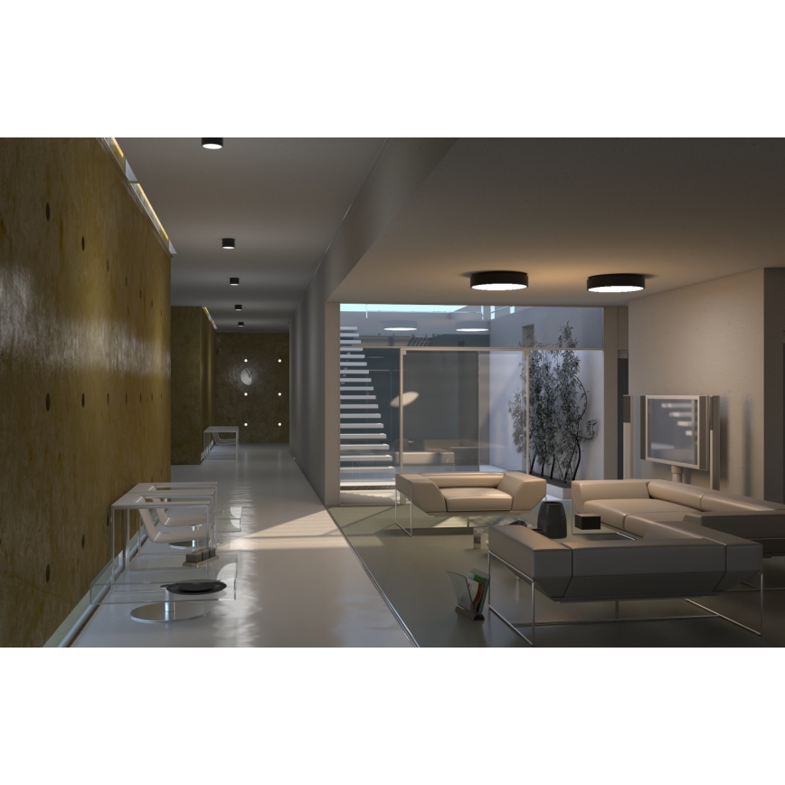 Immax Neo 07023L-15BD - Set 2x Dimmbare LED-Deckenleuchte RONDATE schwarz 2xLED/12W/230V + Fernbedienung Tuya