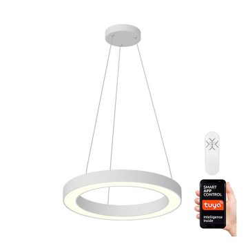 Immax NEO 07091L - LED dimmbarer Seil-Pendelleuchte PASTEL LED/52W/230V 60 cm weiß Tuya + Fernbedienung