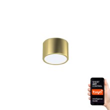 Immax Neo 07127L - LED-Deckenleuchte RONDATE LED/12W/230V ZigBee + FB gold Tuya