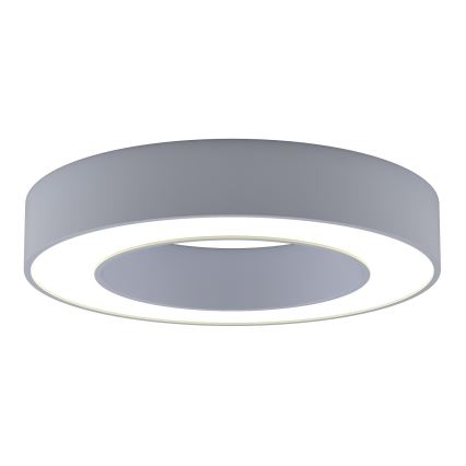 Immax NEO 07144-GR60 - LED dimmbare Deckenleuchte PASTEL LED/52W/230V grau + Fernbedienung