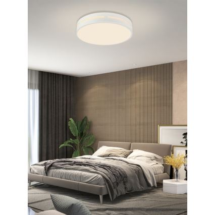 Immax NEO 07153-W30 - LED Dimmbare Deckenleuchte NEO LITE PERFECTO LED/24W/230V Wi-Fi Tuya weiß + Fernbedienung