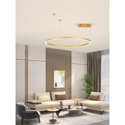 Immax NEO 07217L - Dimmbare LED-Hängeleuchte an Schnur FINO LED/60W/230V 80 cm golden Tuya + Fernbedienung