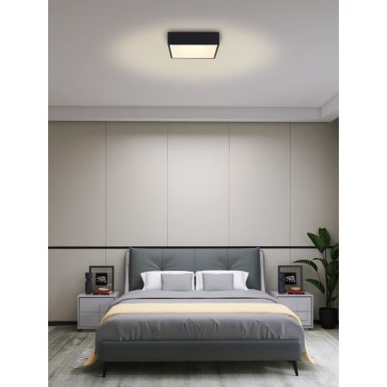 Immax NEO 07237L - LED dimmbares Deckenleuchte CANTO LED/22W/230V schwarz Tuya + Fernbedienung
