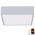 Immax NEO 07238L - LED dimmbares Deckenleuchte CANTO LED/22W/230V weiß Tuya + Fernbedienung