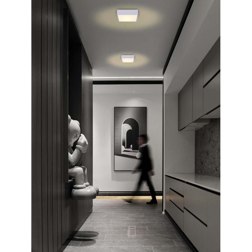 Immax NEO 07238L - LED dimmbares Deckenleuchte CANTO LED/22W/230V weiß Tuya + Fernbedienung