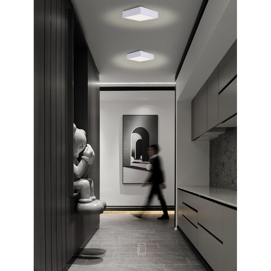 Immax NEO 07238L - LED dimmbares Deckenleuchte CANTO LED/22W/230V weiß Tuya + Fernbedienung
