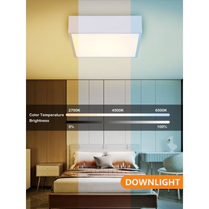 Immax NEO 07238L - LED dimmbares Deckenleuchte CANTO LED/22W/230V weiß Tuya + Fernbedienung