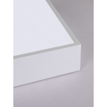 Immax NEO 07238L - LED dimmbares Deckenleuchte CANTO LED/22W/230V weiß Tuya + Fernbedienung