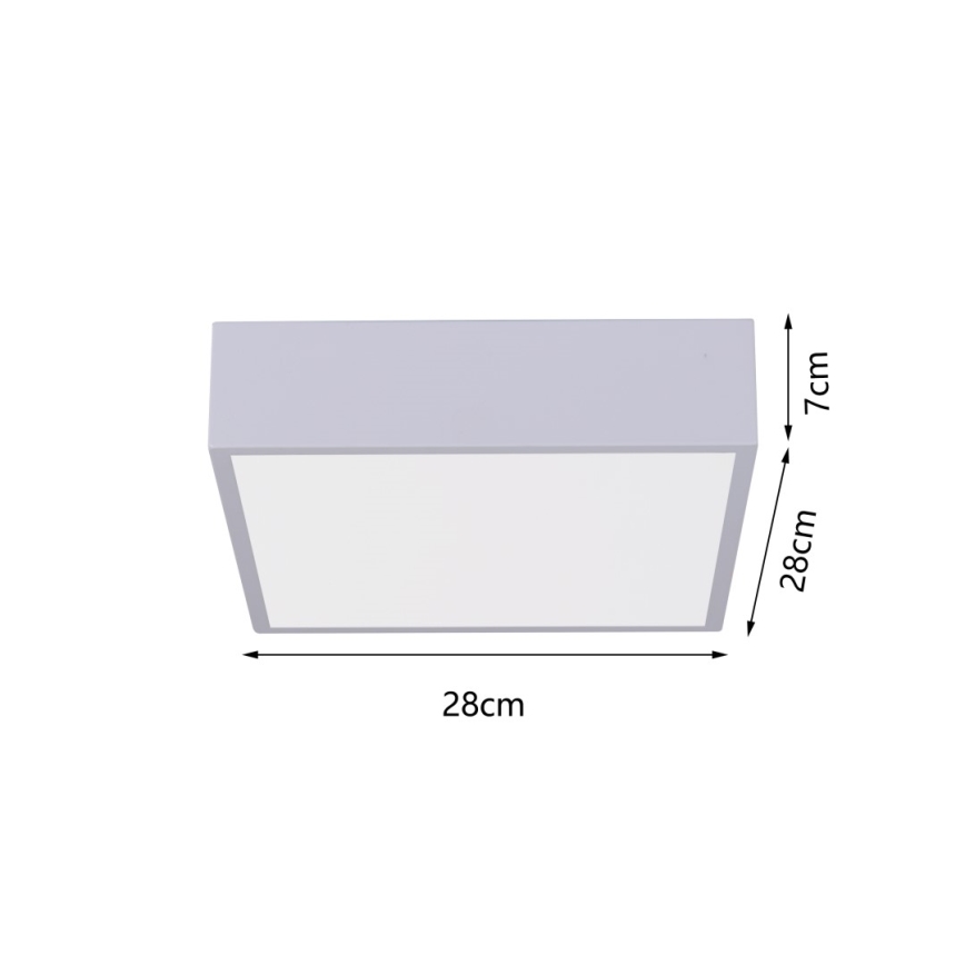 Immax NEO 07238L - LED dimmbares Deckenleuchte CANTO LED/22W/230V weiß Tuya + Fernbedienung