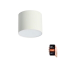 Immax NEO 07243L - LED dimmbares Deckenleuchte RONDATE LED/32W/230V 16,5 cm Wi-Fi Tuya