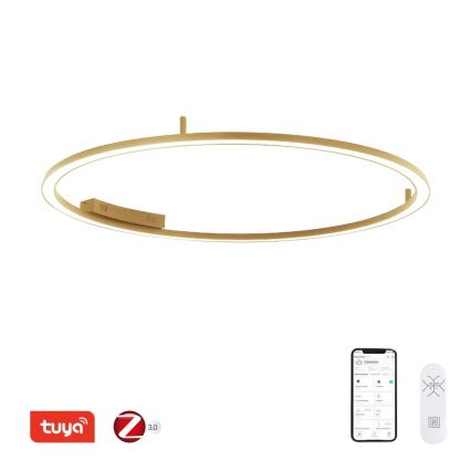 Immax NEO 07290-120G - LED+CCT Dimmbare Deckenleuchte FINO, 55 W, 230 V, 2700–6500 K, Tuya, Ø 120 cm + Fernbedienung