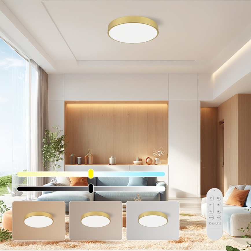 Immax NEO 07292L - LED+CCT dimmbare Deckenleuchte SEMPLICI LED/36W/230V 2700-6500K Ø 40 cm + Fernbedienung