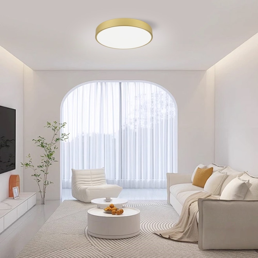 Immax NEO 07292L - LED+CCT dimmbare Deckenleuchte SEMPLICI LED/36W/230V 2700-6500K Ø 40 cm + Fernbedienung