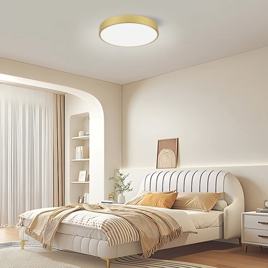 Immax NEO 07292L - LED+CCT dimmbare Deckenleuchte SEMPLICI LED/36W/230V 2700-6500K Ø 40 cm + Fernbedienung