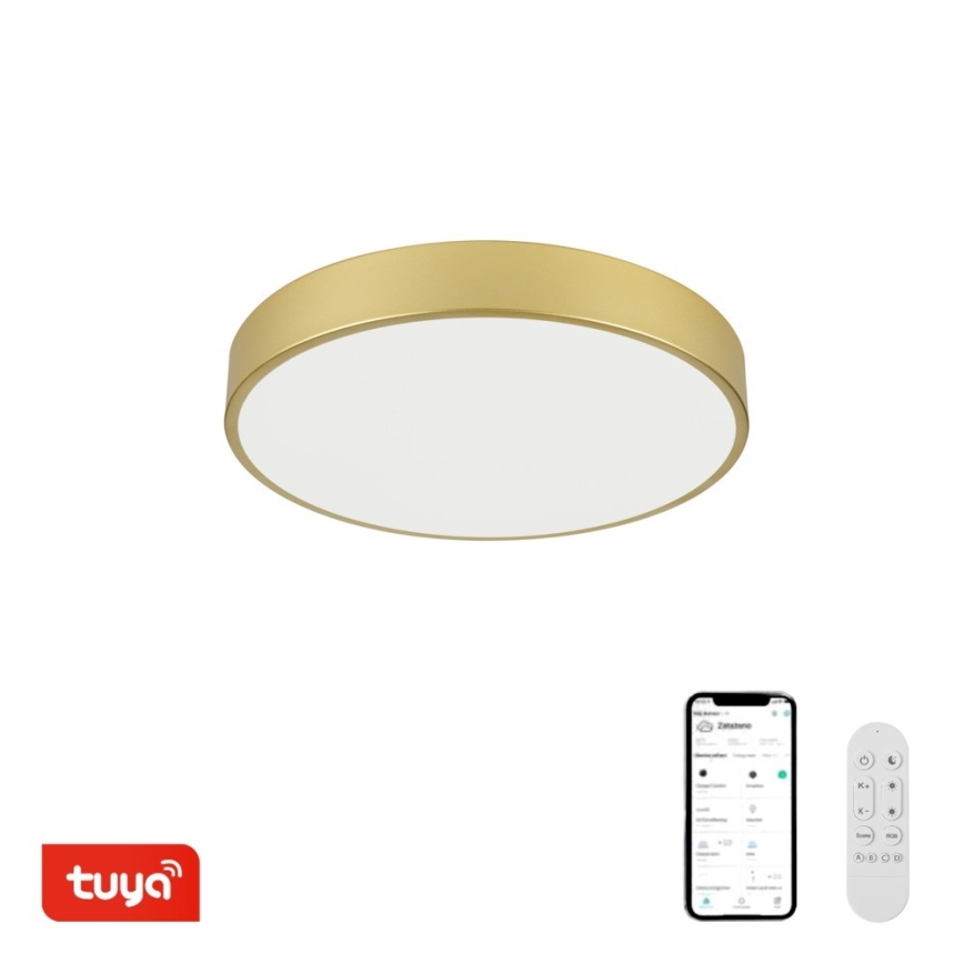 Immax NEO 07292L - LED+CCT dimmbare Deckenleuchte SEMPLICI LED/36W/230V 2700-6500K Ø 40 cm + Fernbedienung