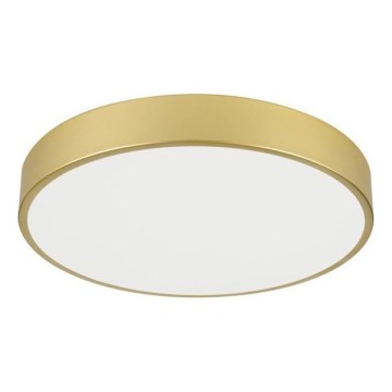 Immax NEO 07292L - LED-dimmbare Deckenleuchte NEO LITE SEMPLICI LED/36W/230V 3000–6000K Ø 40 cm Wi‑Fi (Tuya) goldfarben + Fernbedienung