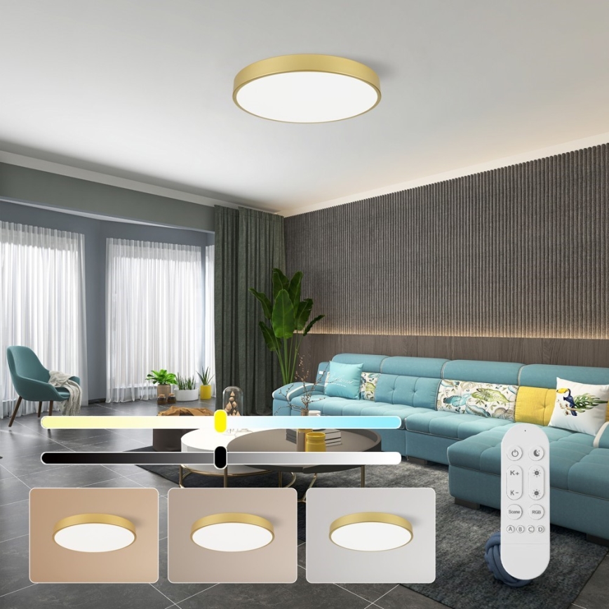 Immax NEO 07293L - LED+CCT dimmbare Deckenleuchte SEMPLICI LED/60W/230V 2700-6500K Ø 60 cm + Fernbedienung