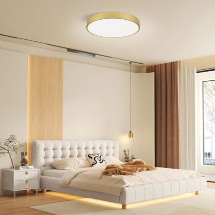 Immax NEO 07293L - LED+CCT dimmbare Deckenleuchte SEMPLICI LED/60W/230V 2700-6500K Ø 60 cm + Fernbedienung