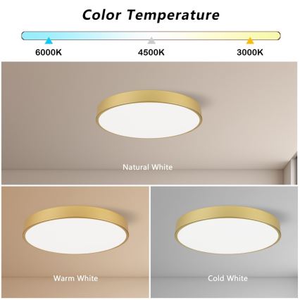 Immax NEO 07293L - LED+CCT dimmbare Deckenleuchte SEMPLICI LED/60W/230V 2700-6500K Ø 60 cm + Fernbedienung