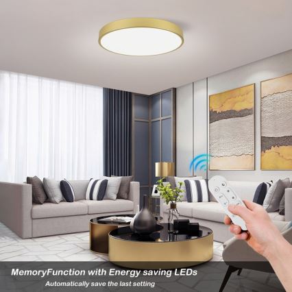 Immax NEO 07293L - LED+CCT dimmbare Deckenleuchte SEMPLICI LED/60W/230V 2700-6500K Ø 60 cm + Fernbedienung