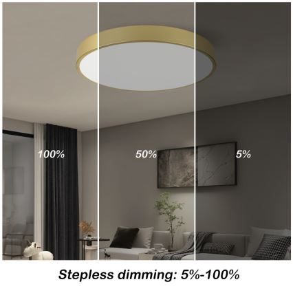 Immax NEO 07293L - LED+CCT dimmbare Deckenleuchte SEMPLICI LED/60W/230V 2700-6500K Ø 60 cm + Fernbedienung