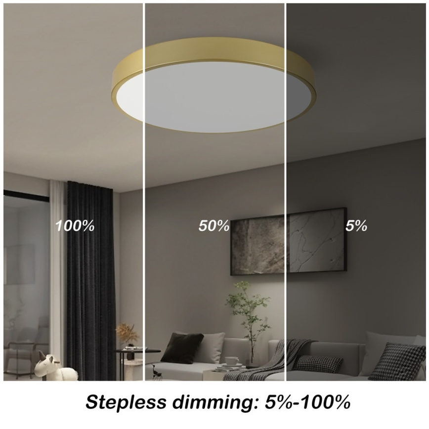Immax NEO 07293L - LED+CCT dimmbare Deckenleuchte SEMPLICI LED/60W/230V 2700-6500K Ø 60 cm + Fernbedienung