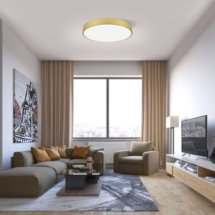 Immax NEO 07293L - LED+CCT dimmbare Deckenleuchte SEMPLICI LED/60W/230V 2700-6500K Ø 60 cm + Fernbedienung