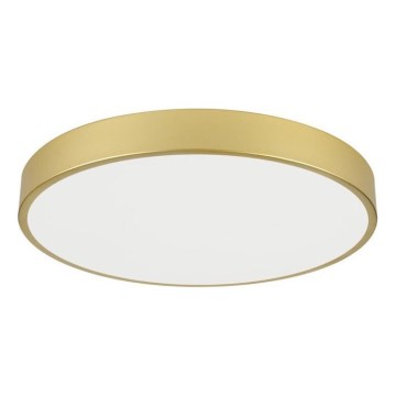 Immax NEO 07293L - LED+CCT dimmbare Deckenleuchte SEMPLICI LED/60W/230V 2700-6500K Ø 60 cm + Fernbedienung