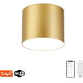 Immax NEO 07317L - dimmbare LED-Deckenleuchte RONDATE, 18 W, 230 V, Ø 11,5 cm, Tuya Wi‑Fi, goldfarben