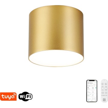 Immax NEO 07317L - dimmbare LED-Deckenleuchte RONDATE, 18 W, 230 V, Ø 11,5 cm, Tuya Wi‑Fi, goldfarben