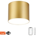 Immax NEO 07318L - LED dimmbare Deckenleuchte RONDATE LED/32W/230V Ø 16,5 cm Wi‑Fi Tuya goldfarben