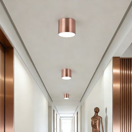 Immax NEO 07319L - RONDATE dimmbare LED-Deckenleuchte LED/18W/230V Ø 11,5 cm, Wi‑Fi (Tuya), Roségold
